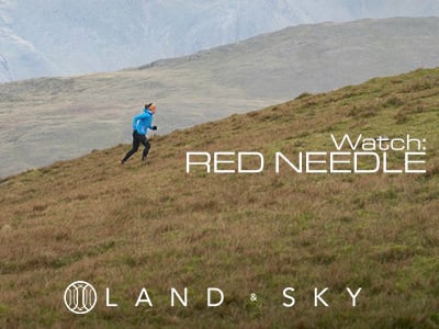 RED NEEDLE